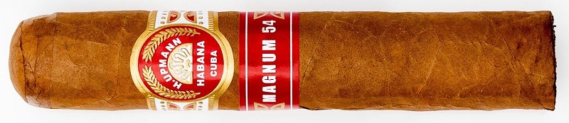 magum-54