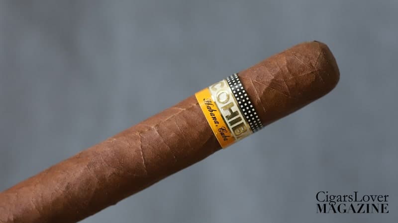 Cohiba Siglo VI