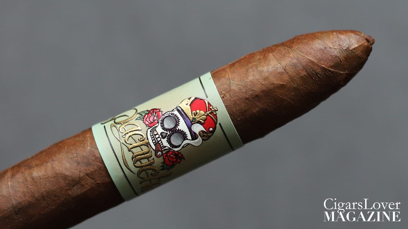 Pachuche Liga Oro Torpedo