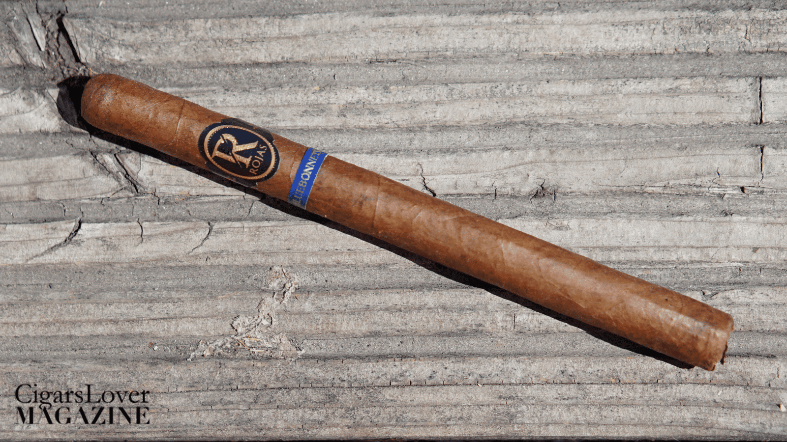 Rojas Bluebonnet Lancero