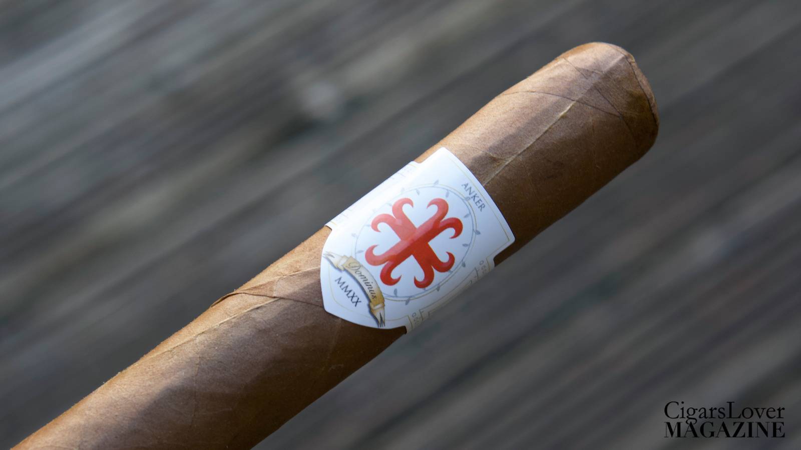 Dominus MMXX Ankerkreuz