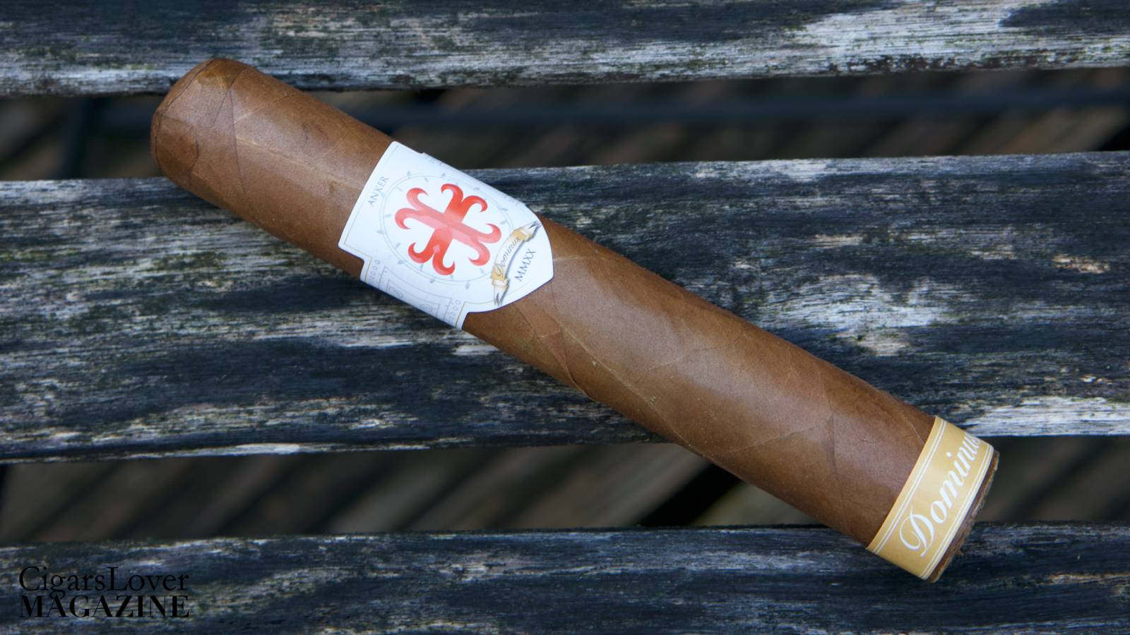 Dominus MMXX Ankerkreuz