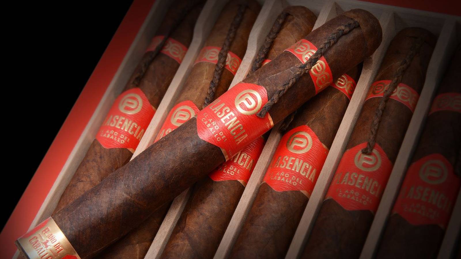 Plasencia Ano del Caballo