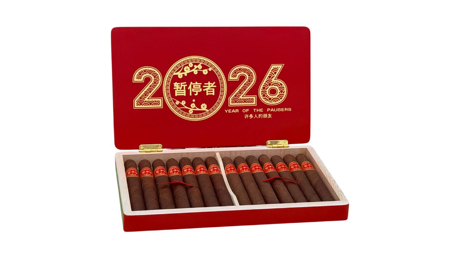 DTT Year of the Pauser