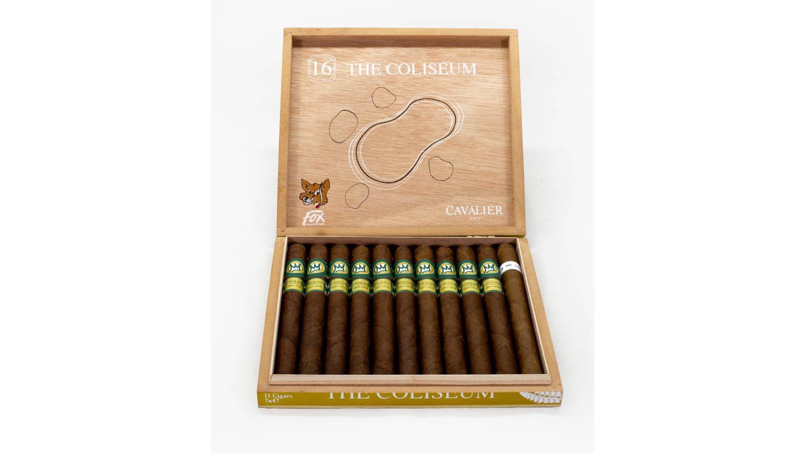 Cavalier Fox WM 2026